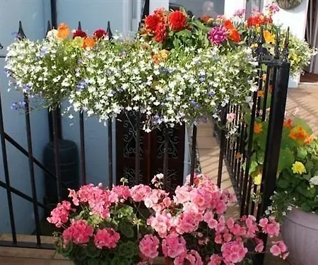 The Croft Bed and Breakfast